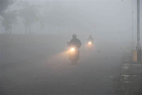 तराइमा हुस्सु र कुहिरो : चिसाे बढ्याे