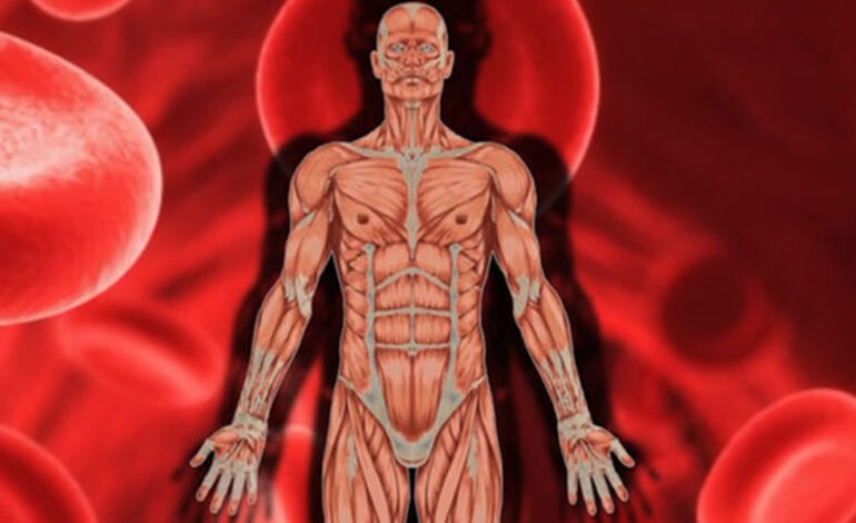 लुम्बिनीमा १९ सय बढी सिकलसेलका बिरामी