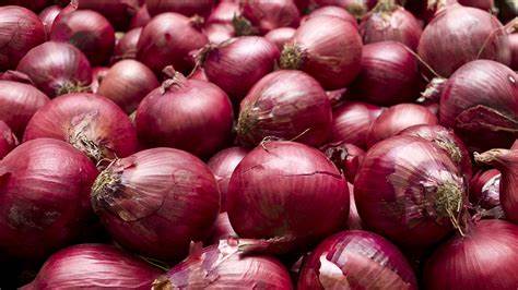 सस्तो हुँदै प्याज, अन्य तरकारी किन्ने मूल्यसूचि