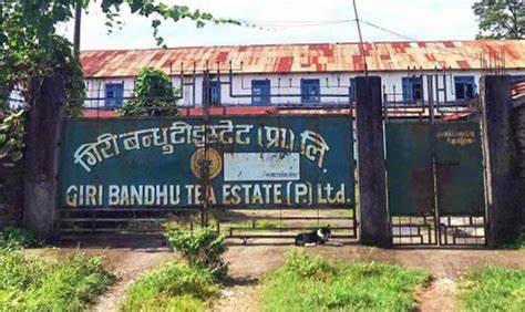 सर्वोच्चले रोक्यो गिरी बन्धुको प्लटिङ, तनावमा जग्गा धनी र लगानीकर्ता