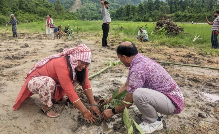 चुरे दिवसको अवसरमा इलाम कमल सामुदायिक वनमा वृक्षरोपण