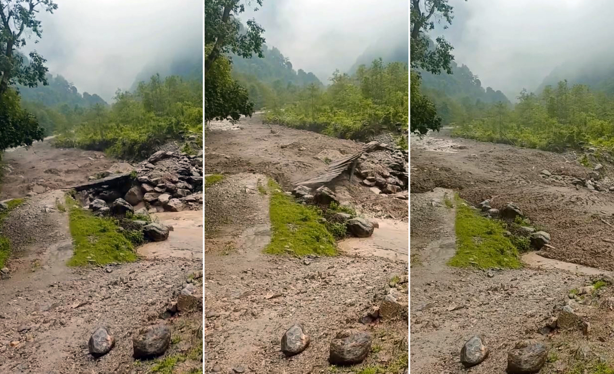 ताप्लेजुङको सिसाव खोलाको बाढीले एउटा काठेपुल