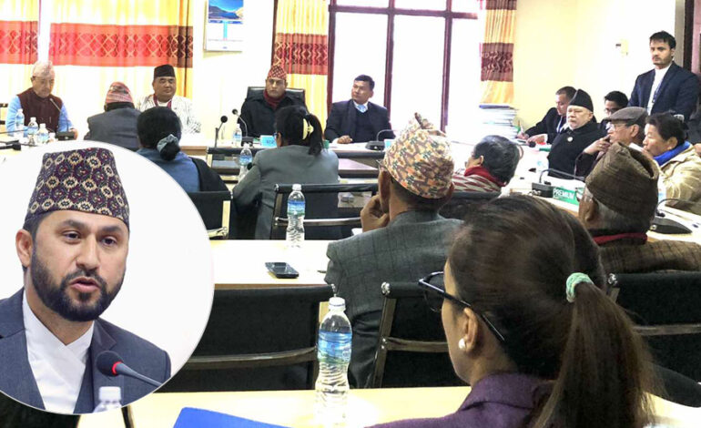 लामिछाने राज्य व्यवस्था समितिबाट पनि निलम्बित