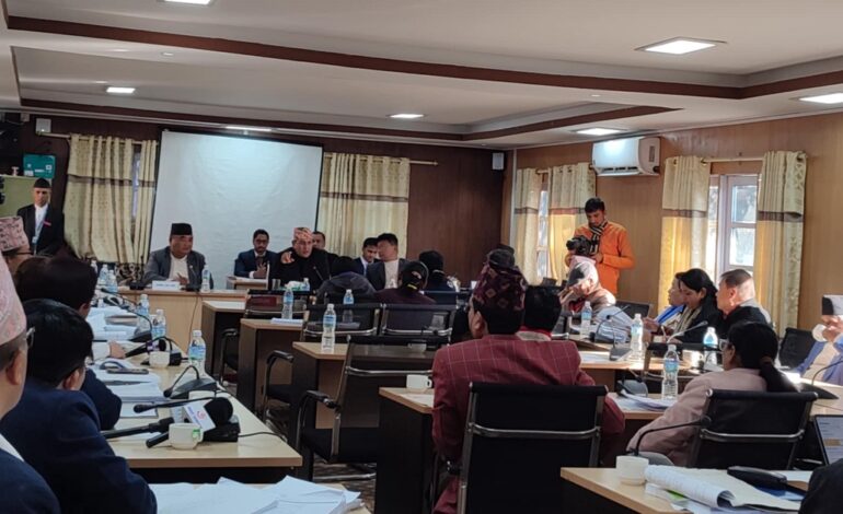 निजामती सेवा प्रवेशको उमेर नघटाउन सांसदहरूको माग