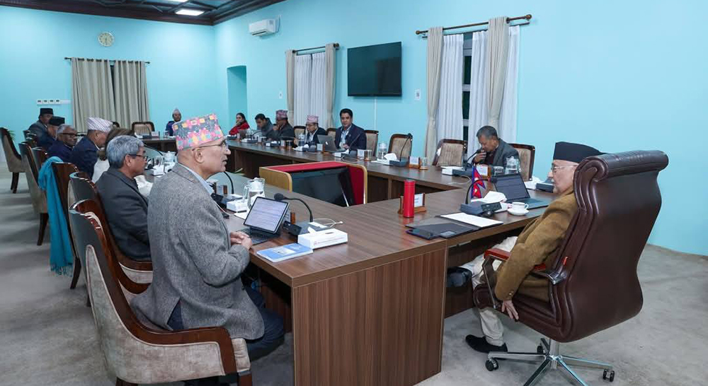 मन्त्रिपरिषद् बैठकका २९ निर्णय, ५ अध्यादेश सिफारिस