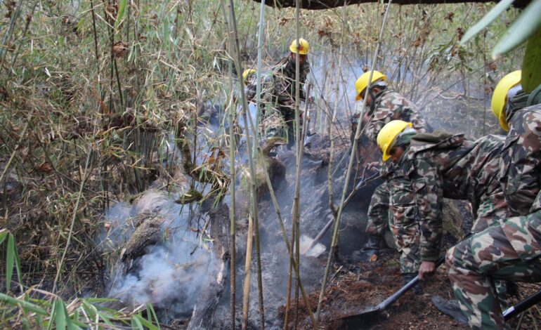 १० दिनसम्म पनि नियन्त्रण भएन मनाङको डढेलो