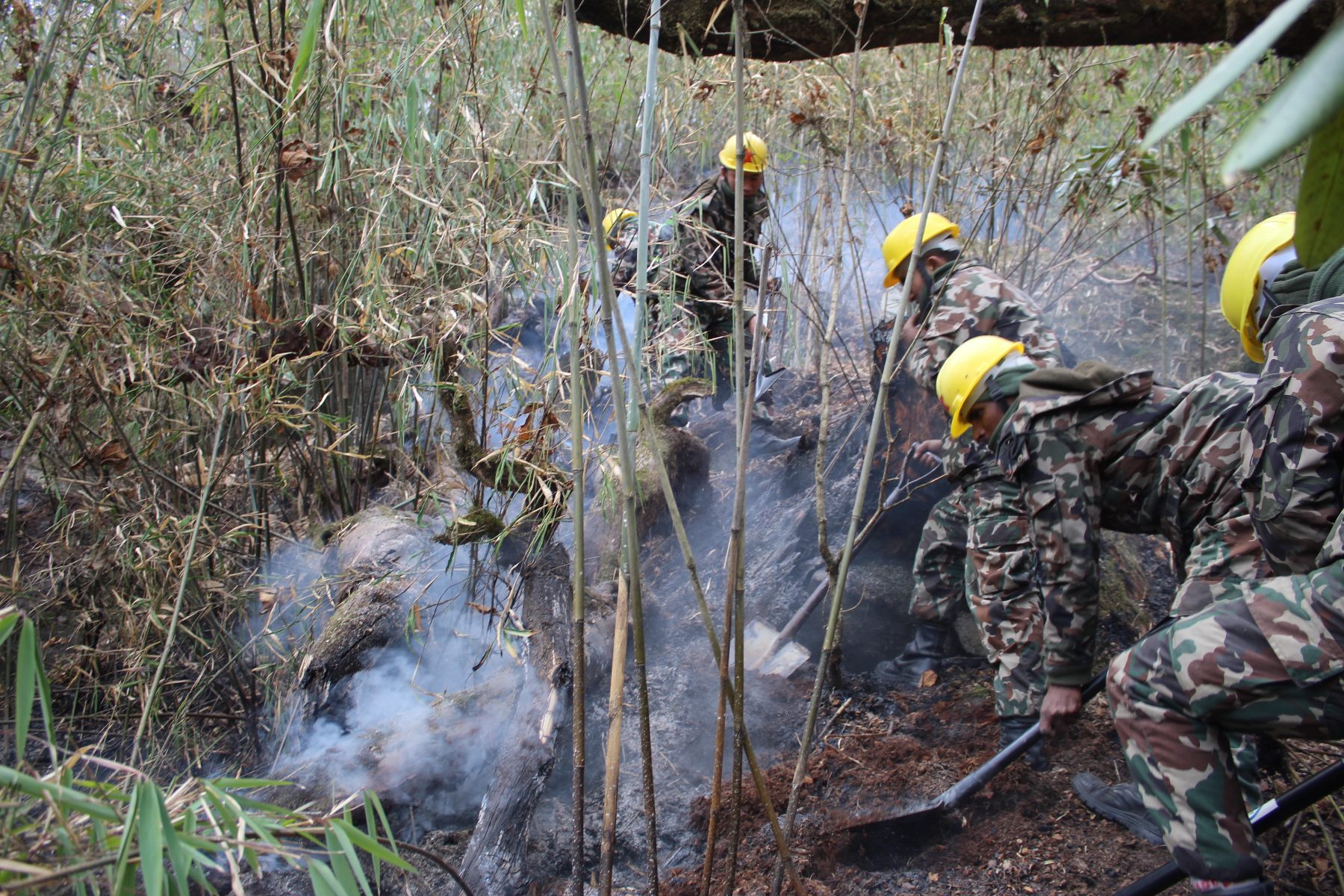 १० दिनसम्म पनि नियन्त्रण भएन मनाङको डढेलो