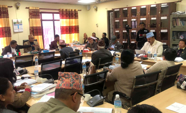 निजामती विधेयकमा सहमति जुटाउन संसदीय उपसमिति गठन