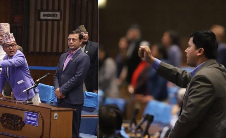 तीनकुने आन्दोलन: एमाले र राप्रपा सांसदबीच झनै कुटाकुट