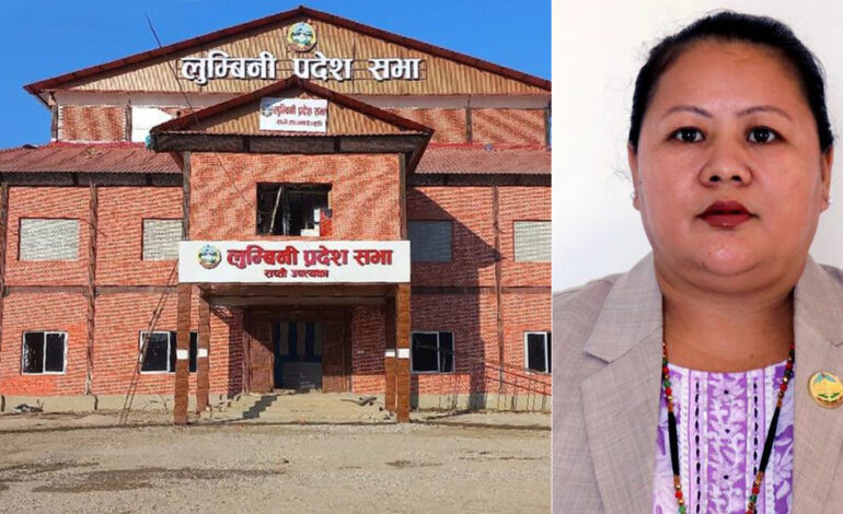 केही काम गर्न नसकिने भन्दै सांसद पदबाट गीता गुरुङको राजीनामा