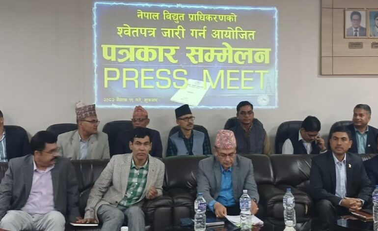 श्वेतपत्र जारी गर्दै प्राधिकारणले भन्यो केही वर्ष विद्युत् आयात शून्यमा झार्न सकिँदैन