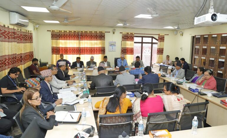 निजामती विधेयकबारे छलफल जारी, आजै पास गर्ने तयारी