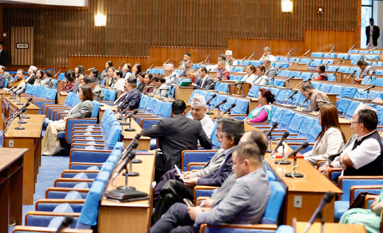 संघीय निजामती सेवा विधेयक यी व्यवस्थासहित प्रतिनिधि सभाबाट पारित