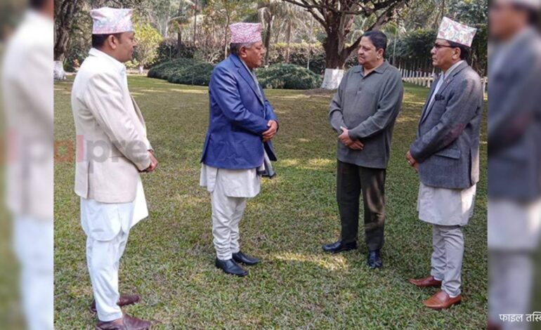 काठमाडौंमा राजावादी आन्दोलन, राजा शाह भने झापा