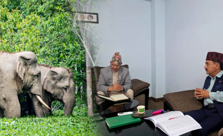 हात्ती पिडीत बाहुन्डाँगीबासीले आनन्दले सुत्ने दिन कहिले आउँछ ?