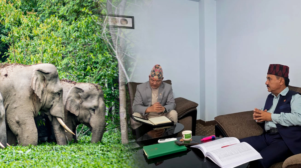 हात्ती पिडीत बाहुन्डाँगीबासीले आनन्दले सुत्ने दिन कहिले आउँछ ?