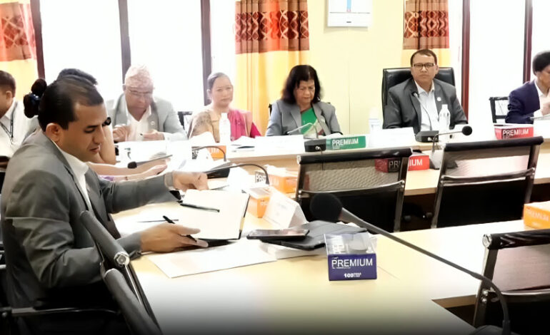 कुलिङ पिरियड छानबिन गर्न विशेष समितिको बैठक सुरु