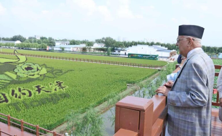 चीनमा रहेका प्रधानमन्त्री ओलीले गरे धान उत्पादन विशेष क्षेत्रको भ्रमण