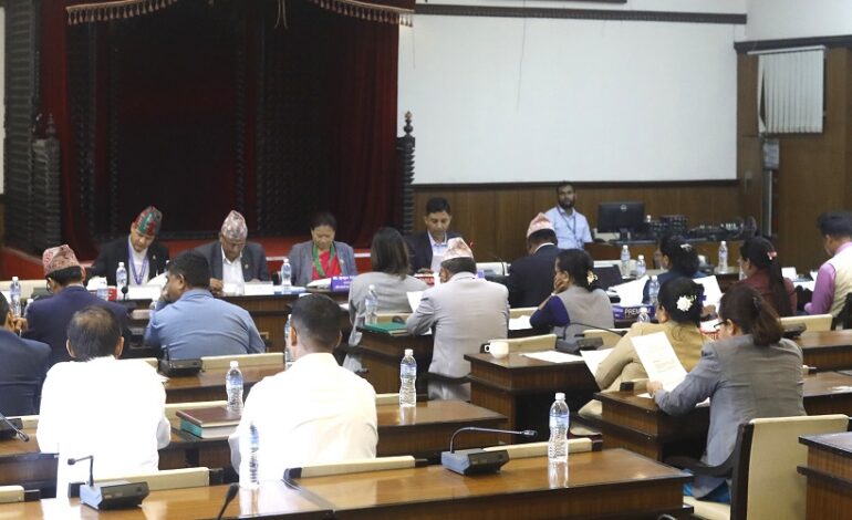 भूमिसम्बन्धी केही नेपाल ऐनलाई संशोधन गर्न बनेको विधेयक प्रतिवेदन पारित
