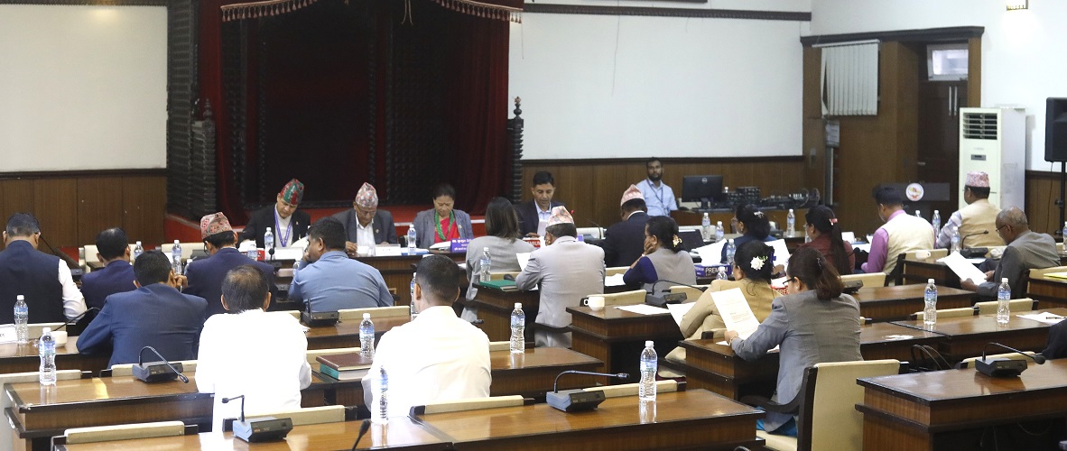 भूमिसम्बन्धी केही नेपाल ऐनलाई संशोधन गर्न बनेको विधेयक प्रतिवेदन पारित
