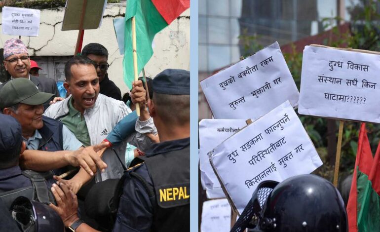 डीडीसी घेर्न पुगे दूध उत्पादक किसान, प्रहरी हस्तक्षेप