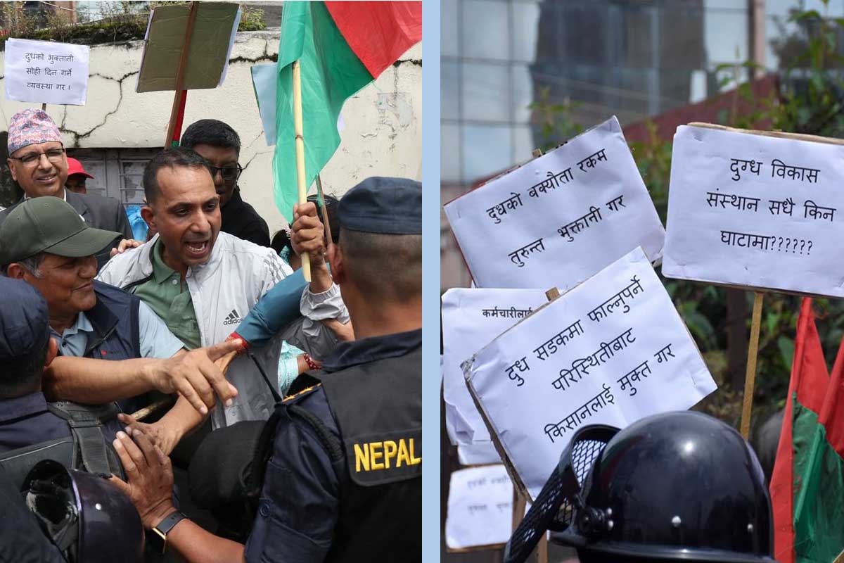 डीडीसी घेर्न पुगे दूध उत्पादक किसान, प्रहरी हस्तक्षेप