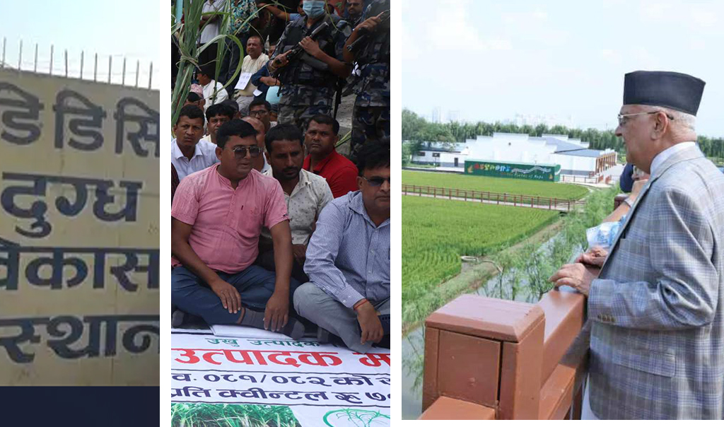 चिनियाँ धान उत्पादन केन्द्र हेरेर चीनमा ओली रमाउँदै, नेपालमा पसिनाको मुल्य खोज्दै किसान सडकमा