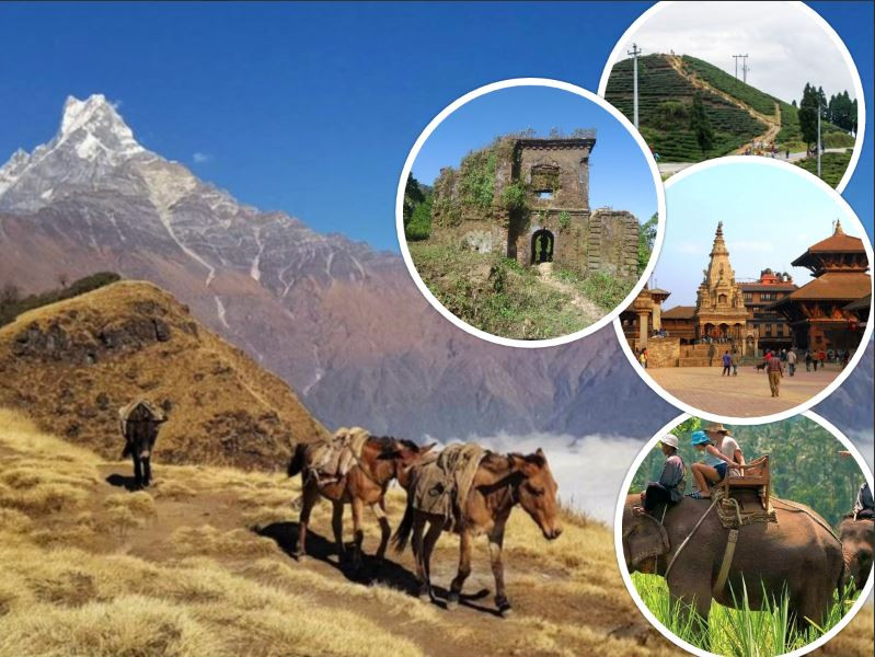 दशैंमा घुम्न जाने सोच छ रु यी ठाउँहरू तपाईंका लागि उपयुक्त हुन सक्छन्