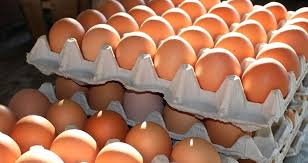 होलसेल मूल्य प्रतिक्रेट ५ सयले बढ्यो अन्डाको भाउ