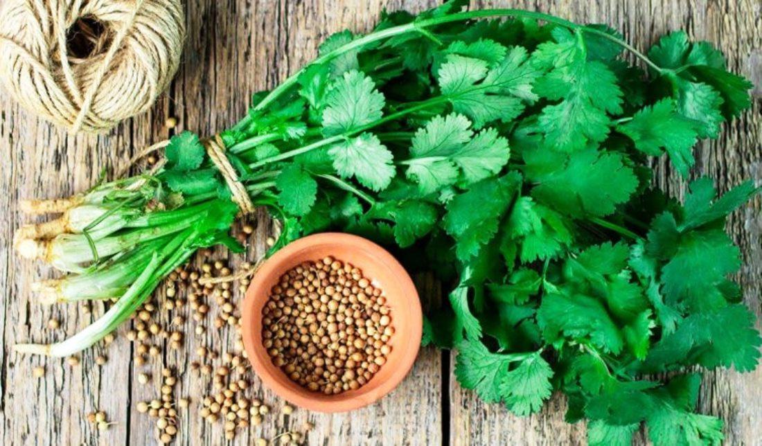 हरियो काँक्रो र धनियाँमा भेटियो खानै नमिल्ने गरी अत्याधिक विषादी