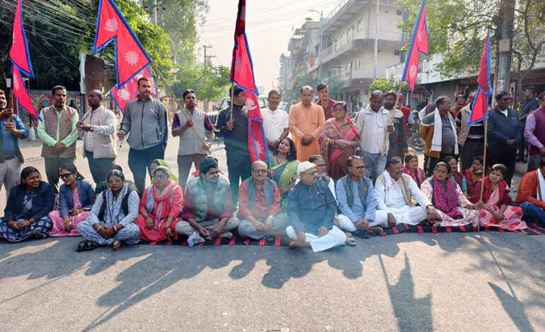 ७ दलीय गठबन्धनका सांसदले दिए सडकमा धर्ना