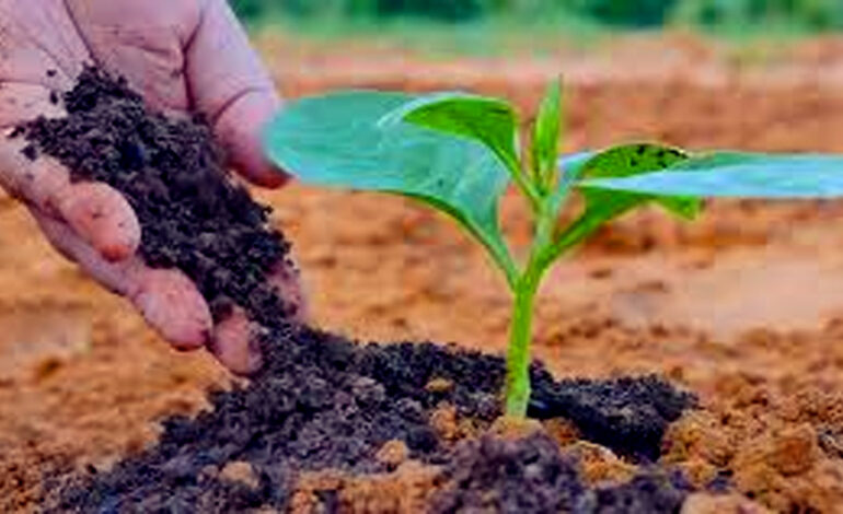 विश्व माटो दिवस: ५४.१३ प्रतिशत माटोमा अम्लीयपन भेटियो, उत्पादनमा ह्रास