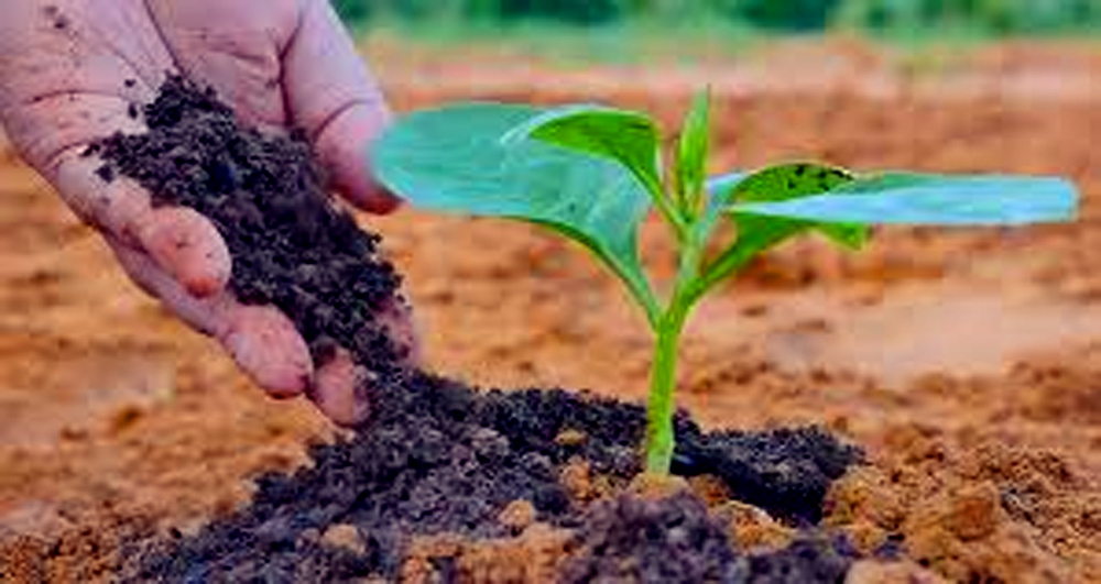 विश्व माटो दिवस: ५४.१३ प्रतिशत माटोमा अम्लीयपन भेटियो, उत्पादनमा ह्रास