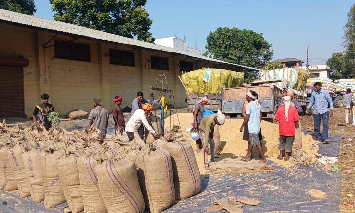 खाद्य कम्पनीले ८२ हजार क्विन्टल धान किन्यो