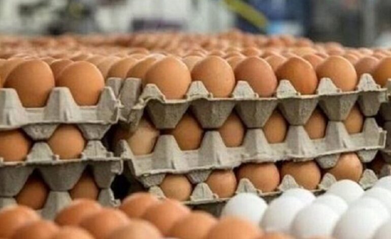 भोलिदेखि अण्डाको नयाँ मुल्य