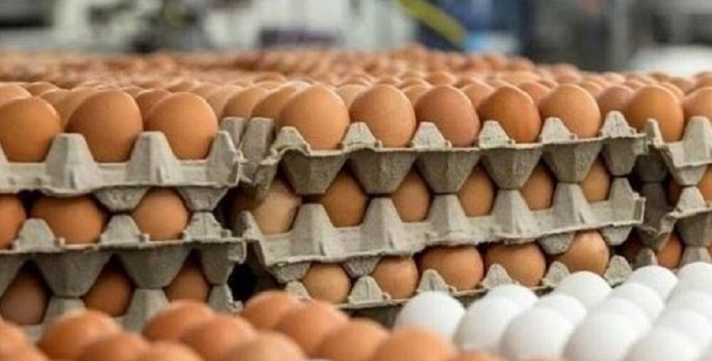 भोलिदेखि अण्डाको नयाँ मुल्य