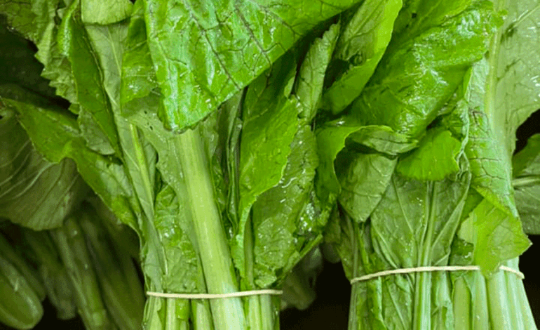 काठमाडौंमा उत्पादित रायो सागमा भेटियो ९९ प्रतिशत विषादी