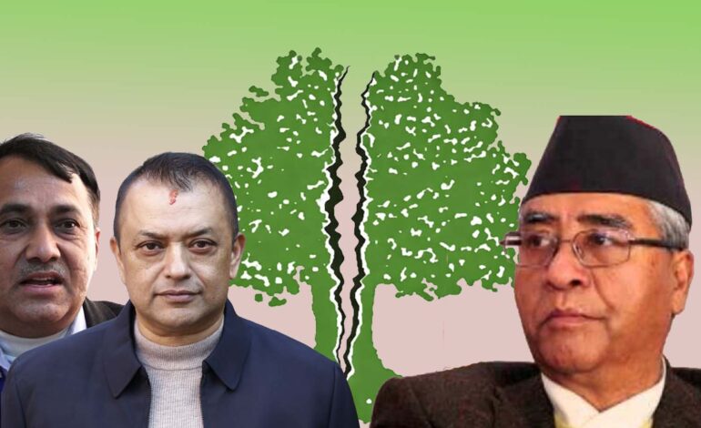 कांग्रेसमा विभाजनः गगन थापाको नेतृत्वमा नयाँ समिति निर्वाचित