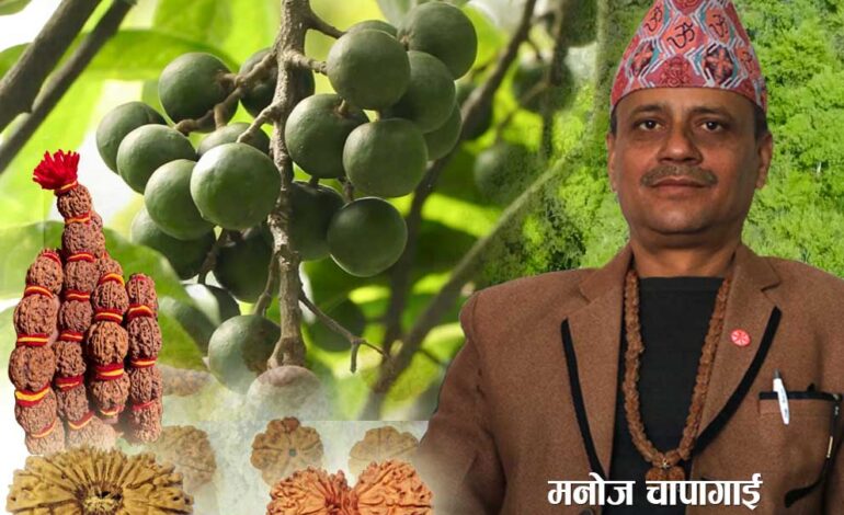 रुद्राक्ष व्यापार धार्मिक, पर्यटक, व्यवसायी र हरेक किसानको गाँससँग जोडियो: संघका अध्यक्ष चापागाईं
