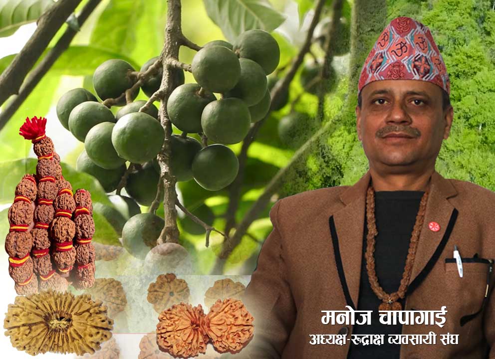 रुद्राक्ष व्यापार धार्मिक, पर्यटक, व्यवसायी र हरेक किसानको गाँससँग जोडियो: संघका अध्यक्ष चापागाईं