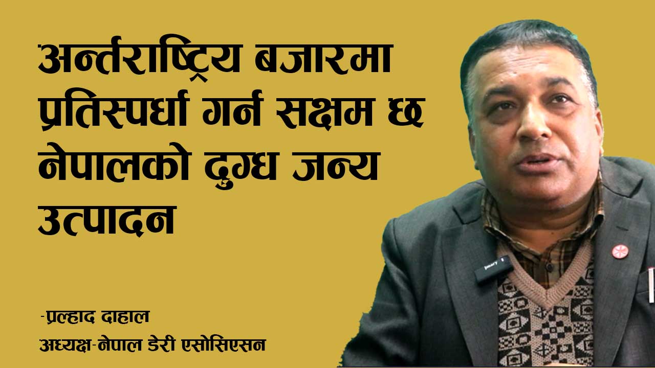 डेरी क्षेत्र बलियो र प्रतिस्पर्धात्मक हुँदा देश अर्थतन्त्रसँगै कृषि क्षेत्र चलायमान हुन्छः डेरी एसोसिएसन दाहाल (भिडियो अन्तरवार्ता)
