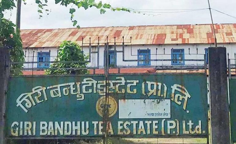 झापा विर्तामोड बसपार्कमा उम्मेदवारलाई प्रवेश निषेध, कारण गिरिबन्धु टी स्टेट प्रकरण