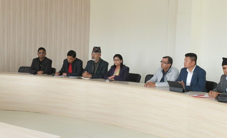 एमालेले घोषणा गर्यो विरोधका कार्यक्रम