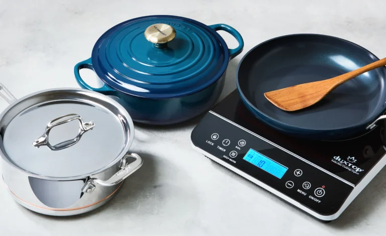 ग्याँसको विकल्प बन्दै विद्युतीय चुलो