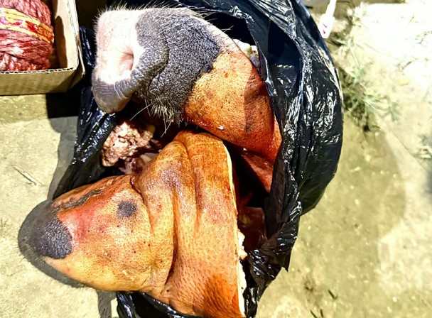 हिंसा भड्काउन सक्ने सुँगुरको टाउको बरामदपछि तराईमा प्रहरी सतर्कता बढाइयो