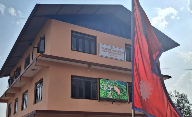 सरकारको निर्णय विपरित शैक्षिक क्यालेण्डर प्रभावित हुने भन्दै तारकेश्वर गाउँपालिकाले आइतबार विद्यालय विदा नदिने