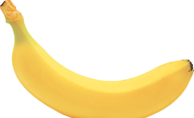 काठमाडौंलगायत देशभर केरा अभाव