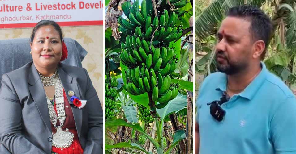 मन्त्रीज्यू केरामा २ सय पो कमिशन बिचौलियाले खादा रछन्, तपाईलाई पनि भाग लाग्छ कि ?