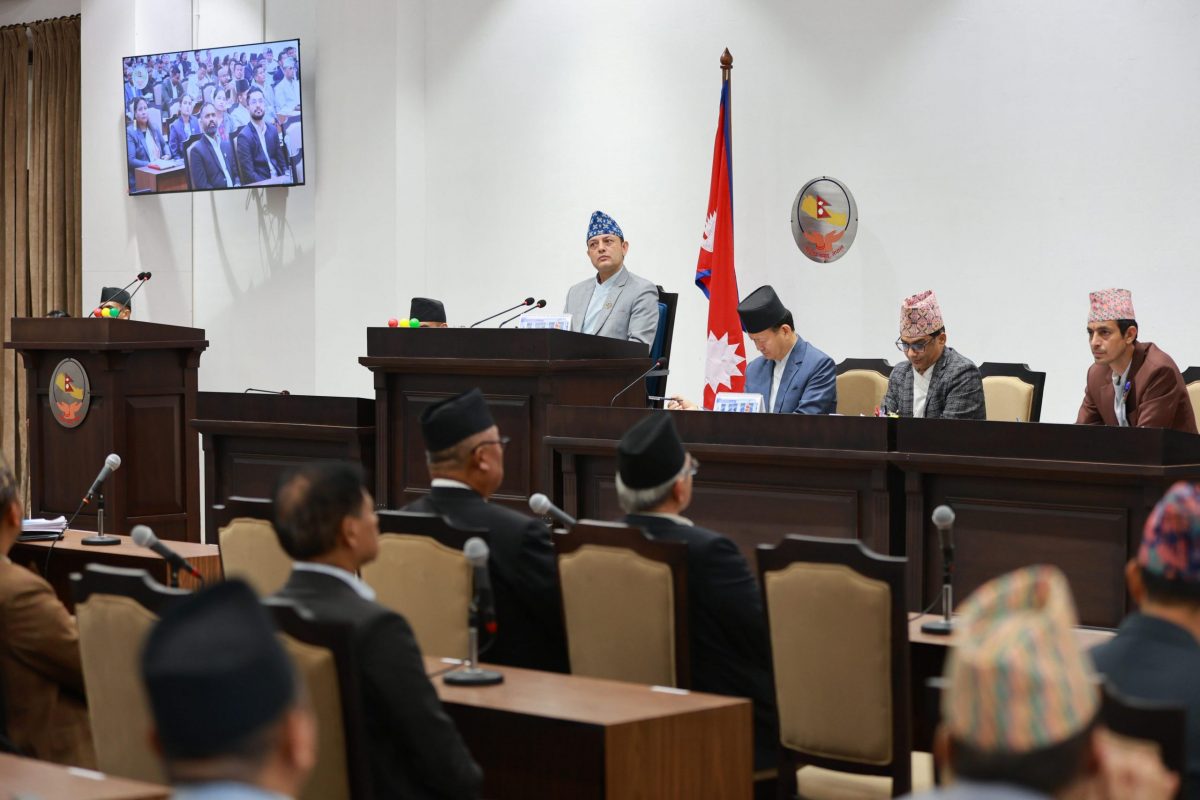 प्रतिनिधिसभाको नयाँ नियमावली बनाउन मस्यौदा समिति गठन