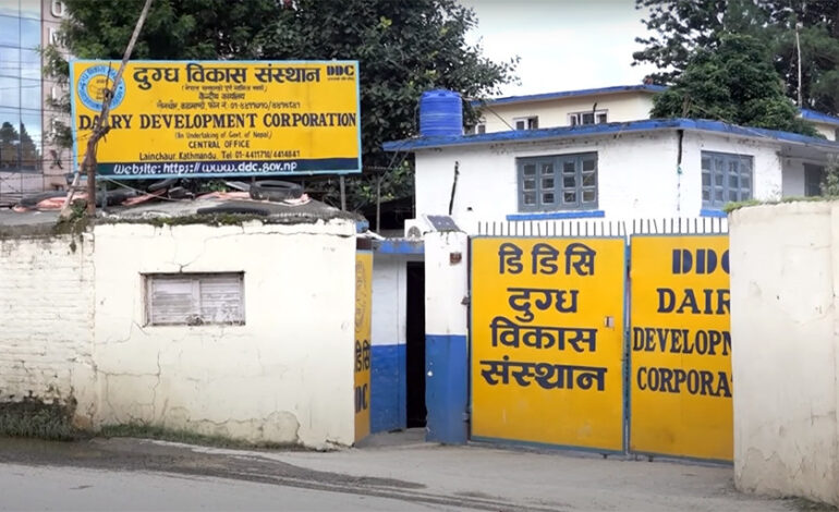 कृषि मन्त्रीले फ्यालिन डिडिसी व्यवस्थापनका ९ निर्देशन